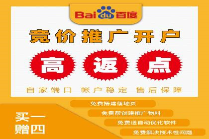 百度竞价广告案例：精准营销效果显著